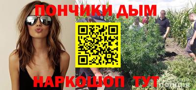 прущие грибы Обнинск