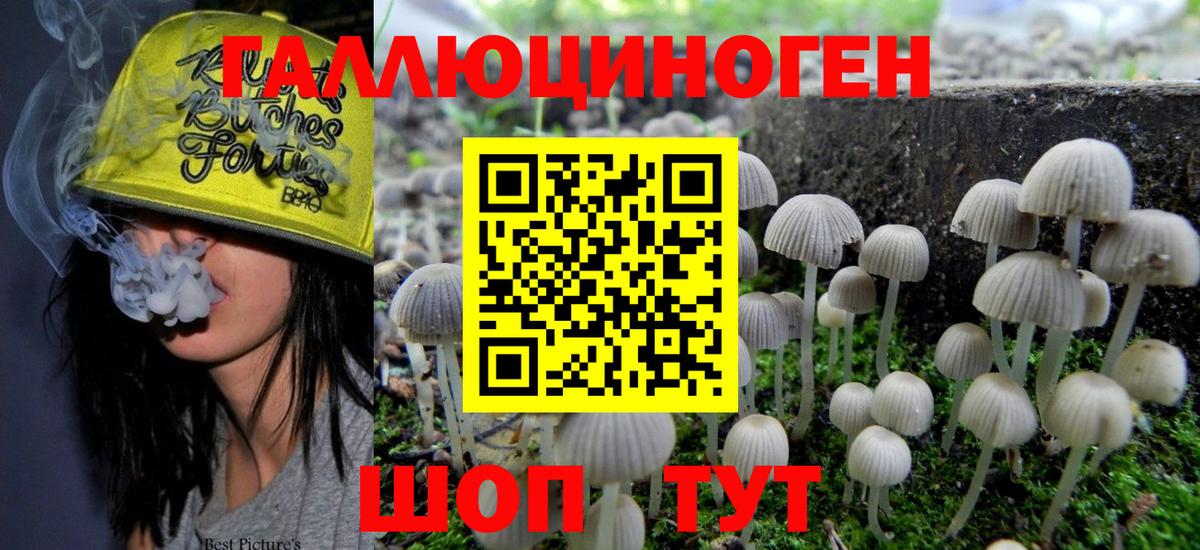 Псилоцибиновые грибы мухоморы Лиски